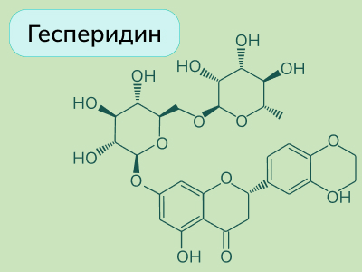 newsCardImg