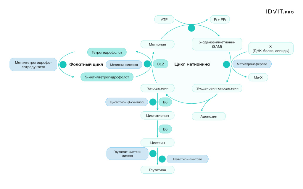 Рисунок 6.jpeg