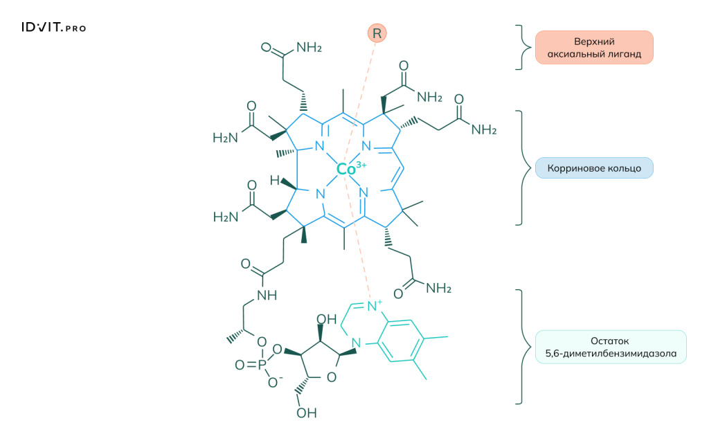 Рисунок 1.jpeg